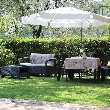 דירות טוסקולנו מדרנו Relax In The Olive Grove מראה חיצוני תמונה