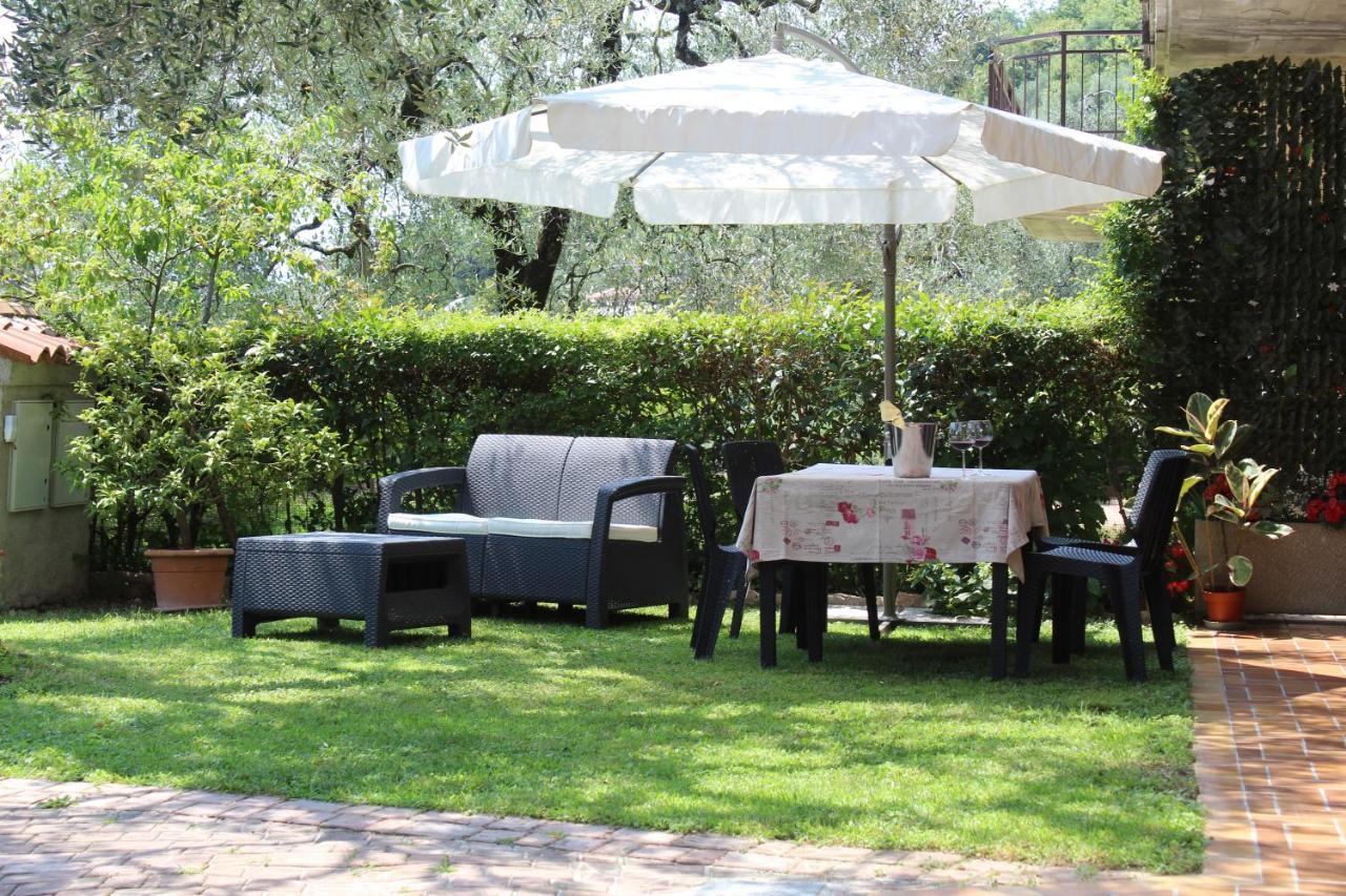 דירות טוסקולנו מדרנו Relax In The Olive Grove מראה חיצוני תמונה