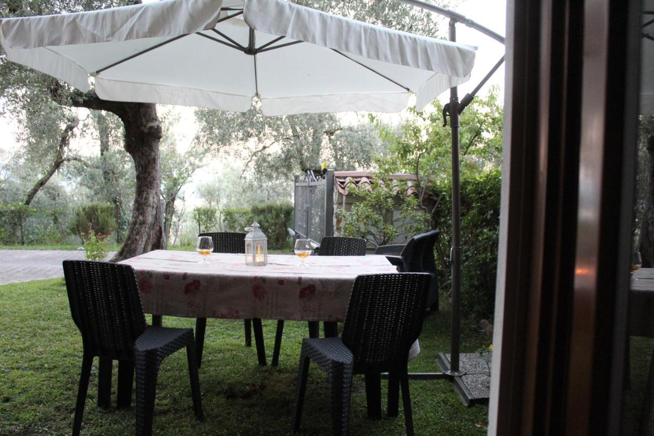 דירות טוסקולנו מדרנו Relax In The Olive Grove מראה חיצוני תמונה
