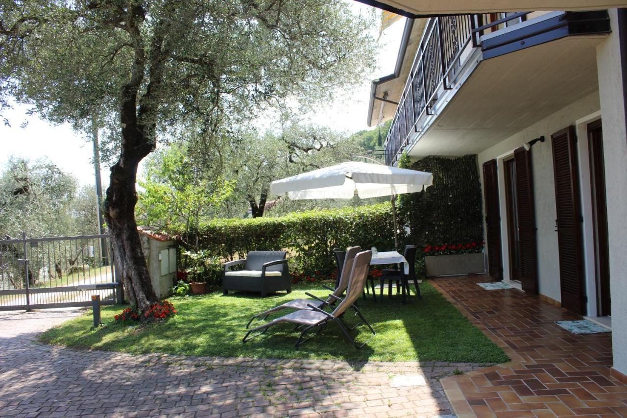 דירות טוסקולנו מדרנו Relax In The Olive Grove מראה חיצוני תמונה