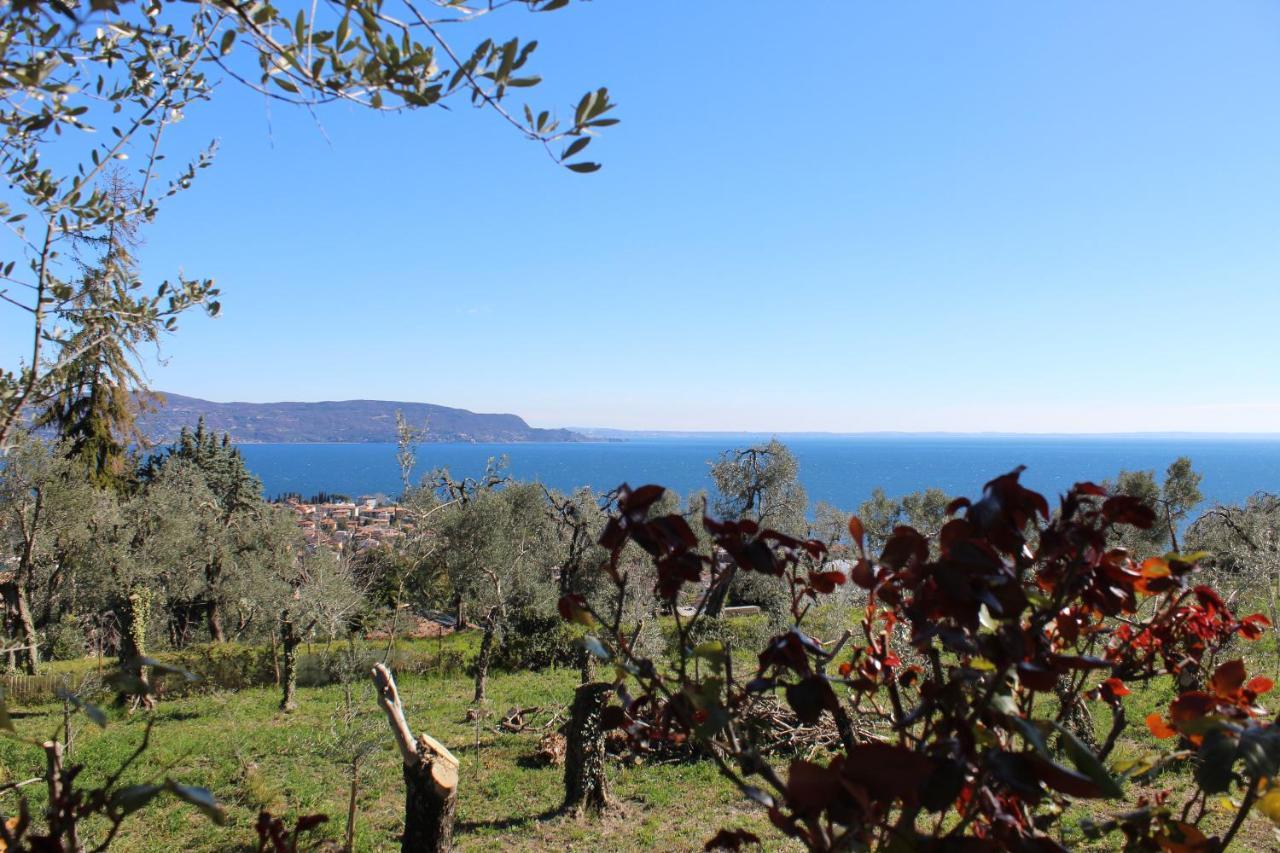 דירות טוסקולנו מדרנו Relax In The Olive Grove מראה חיצוני תמונה