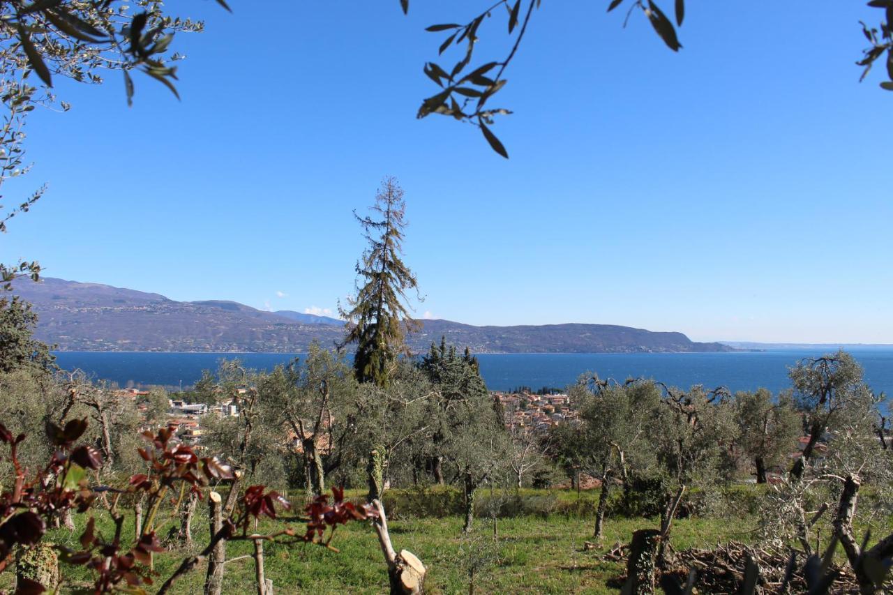 דירות טוסקולנו מדרנו Relax In The Olive Grove מראה חיצוני תמונה