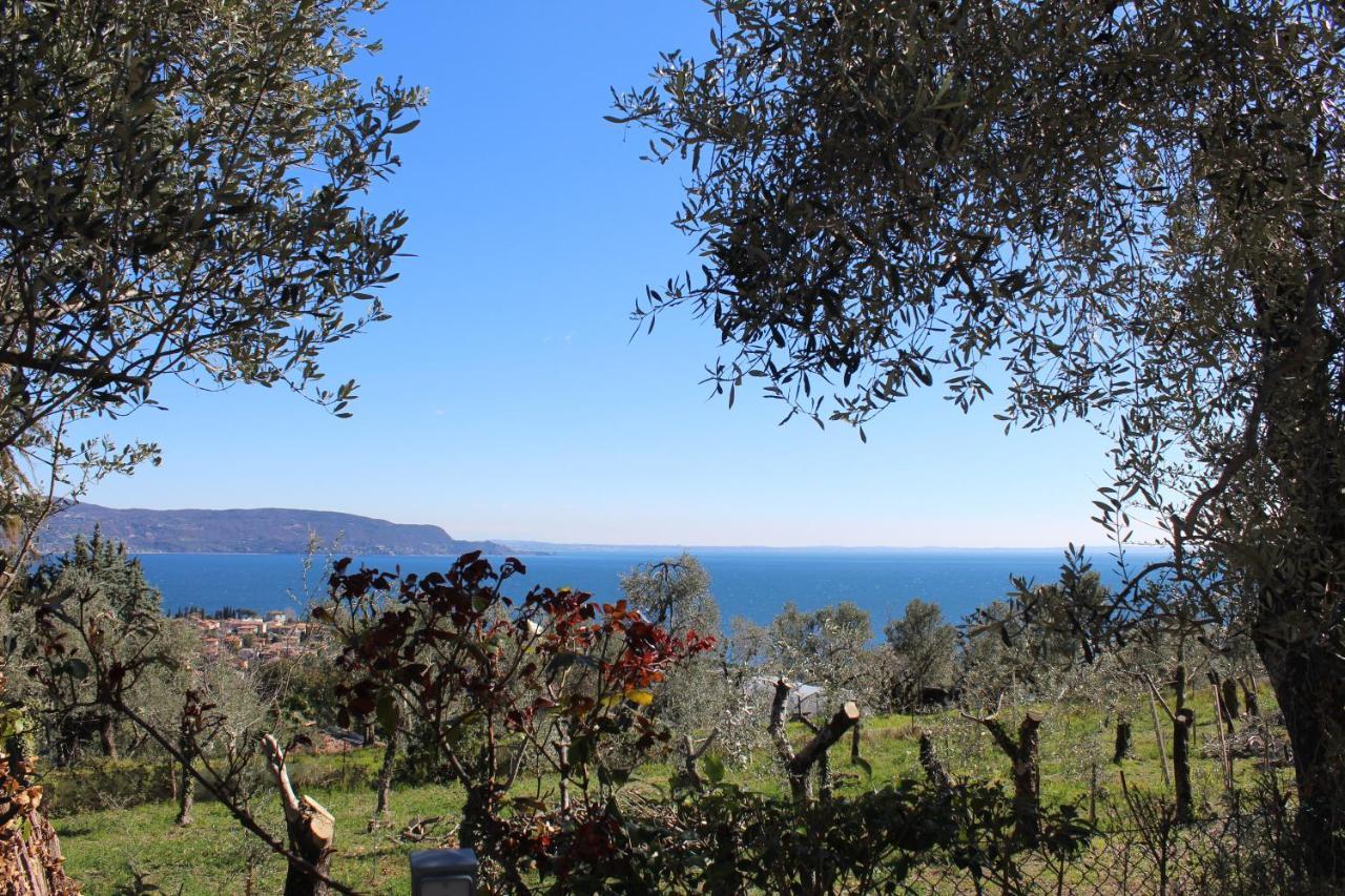 דירות טוסקולנו מדרנו Relax In The Olive Grove מראה חיצוני תמונה